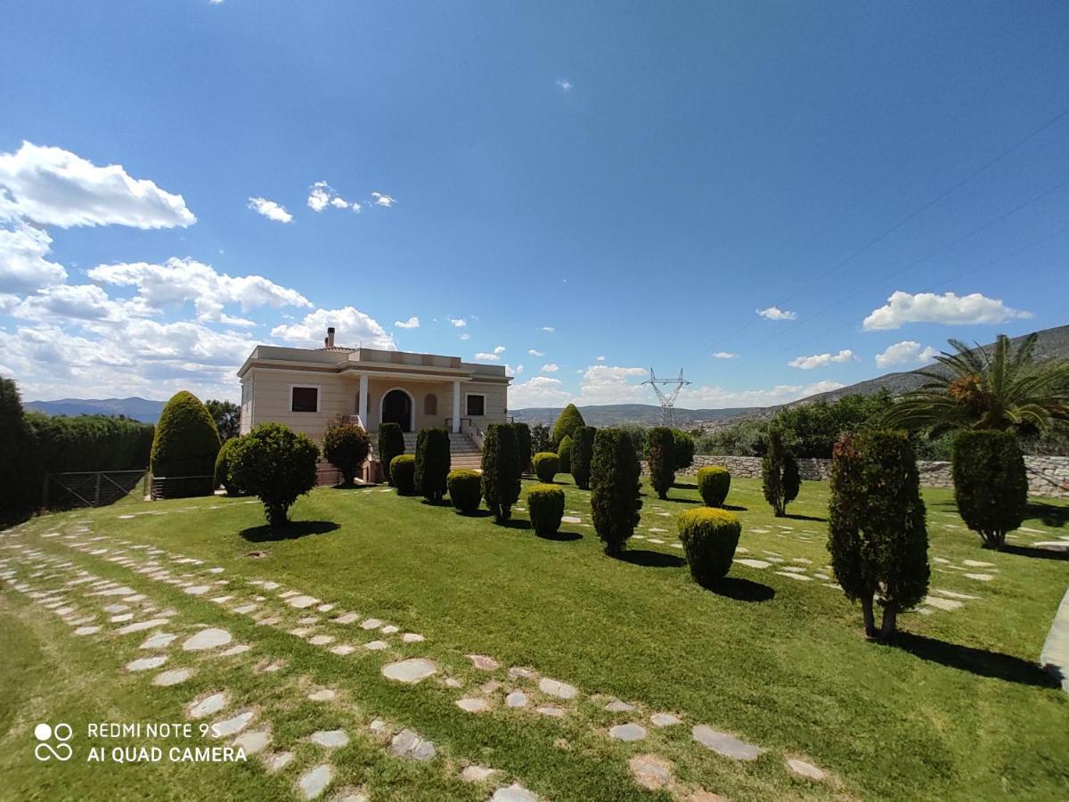 Luxury Villa Thea Volos Exteriér fotografie