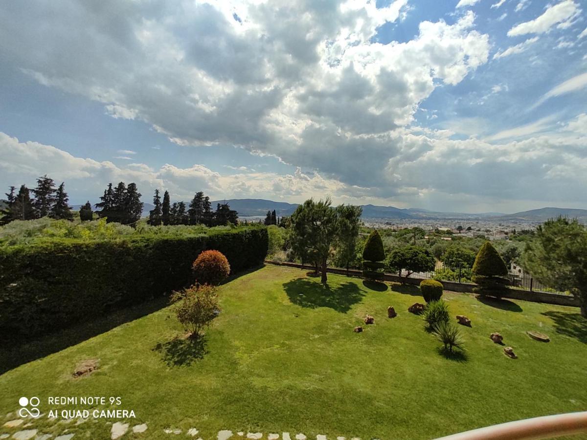 Luxury Villa Thea Volos Exteriér fotografie