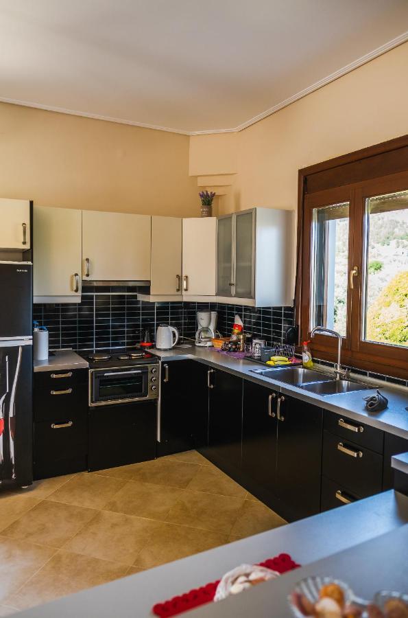 Luxury Villa Thea Volos Exteriér fotografie
