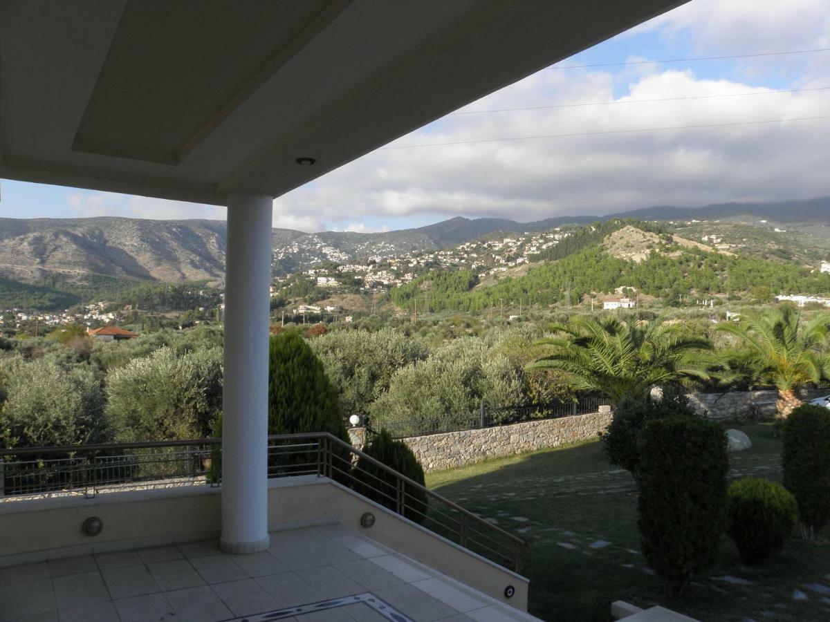 Luxury Villa Thea Volos Exteriér fotografie