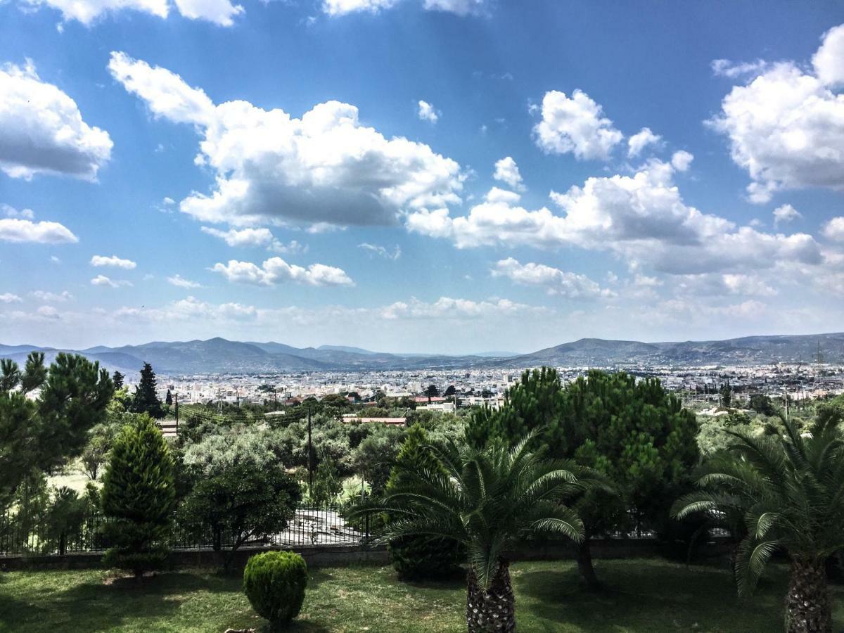 Luxury Villa Thea Volos Exteriér fotografie